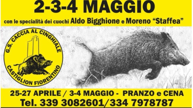 Sagra del Cinghiale