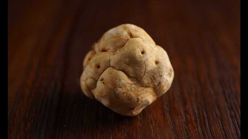 Fiera Nazionale del Tartufo Bianco di Acqualagna