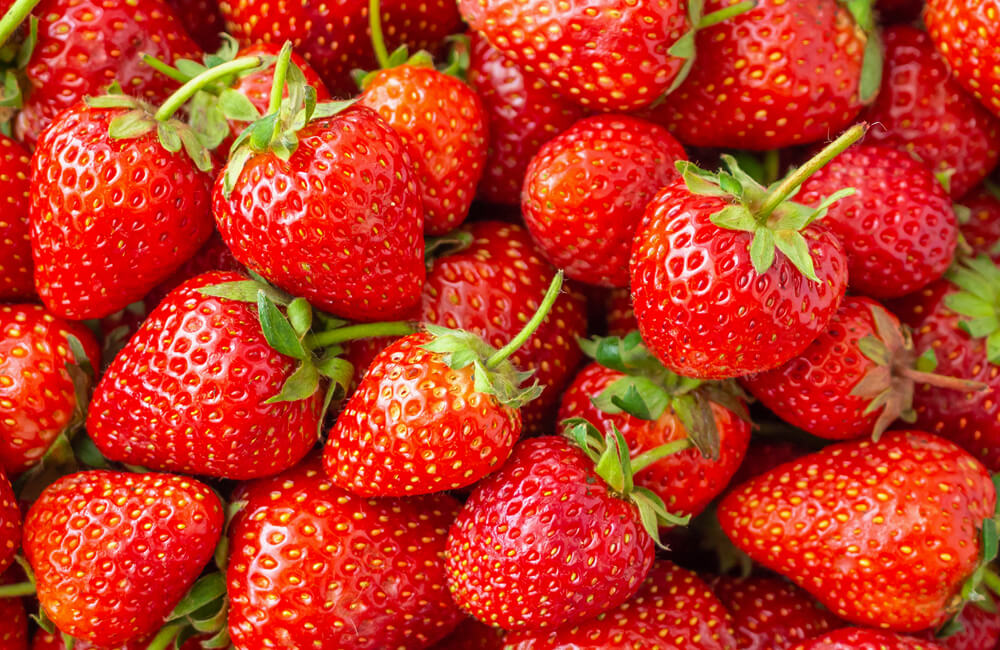 92° Sagra delle fragole