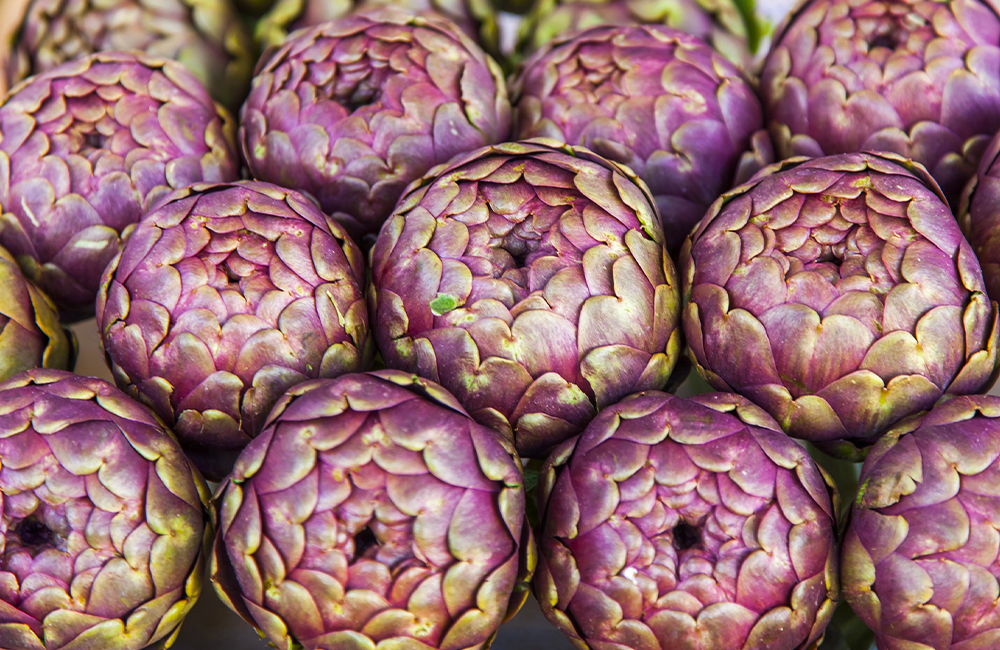 43° Sagra del carciofo violetto di Niscemi