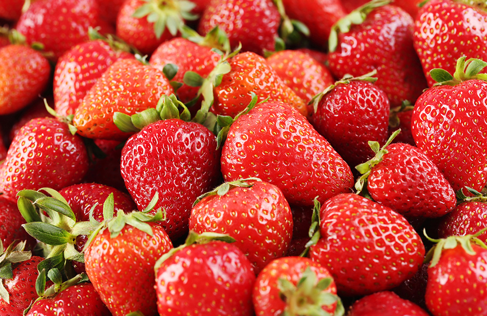 Festa della fragola