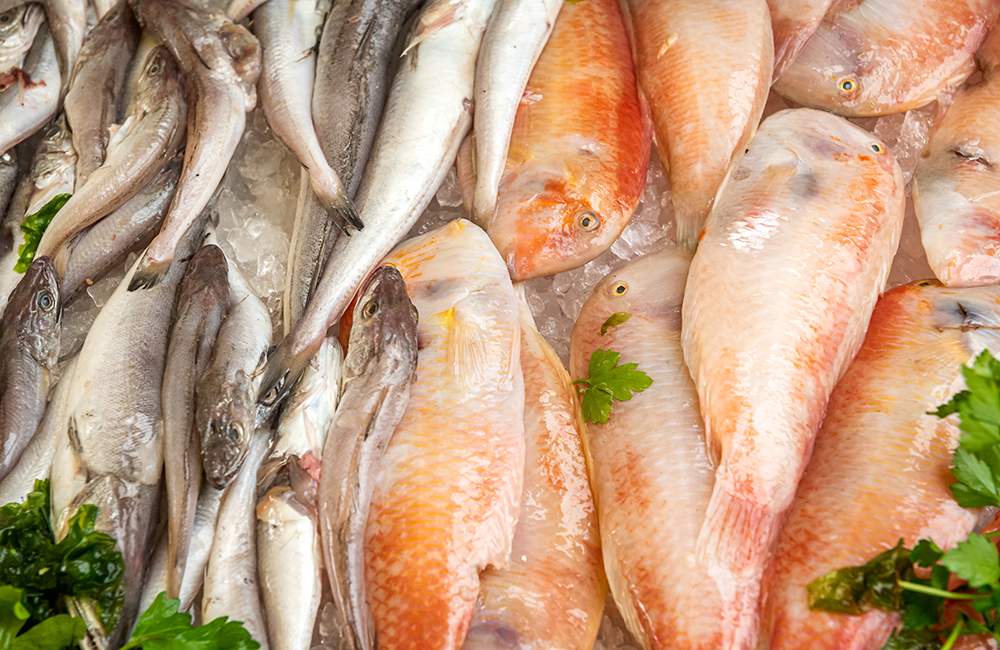 14° Festa del pescato di paranza