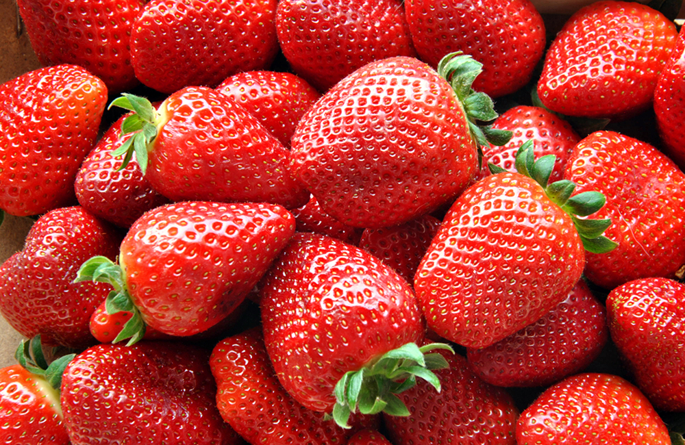 53° Festa della fragola, dell’ortofrutta e dei fiori