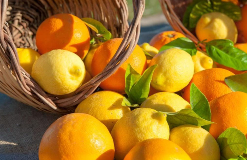51° Sagra degli Agrumi