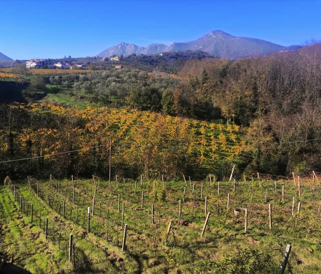 La Table in Vigna