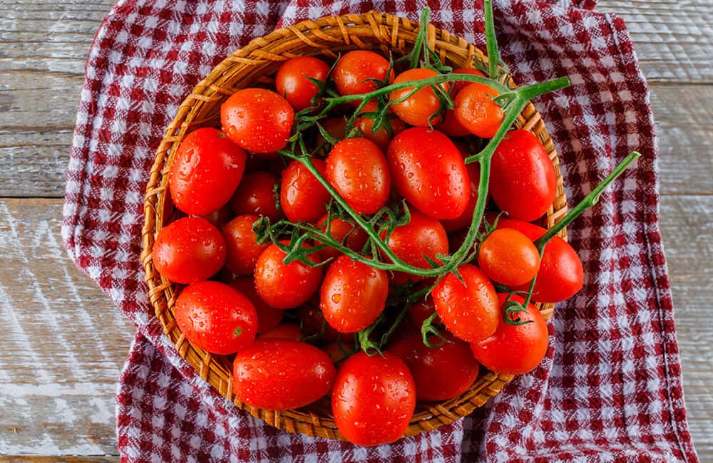 53° Festa del pomodoro