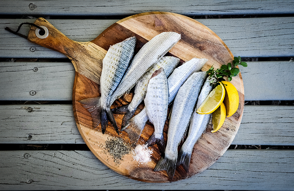 Pesce in festa